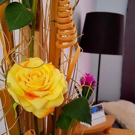 Apartamento Warm, Cozy And Comfortable *