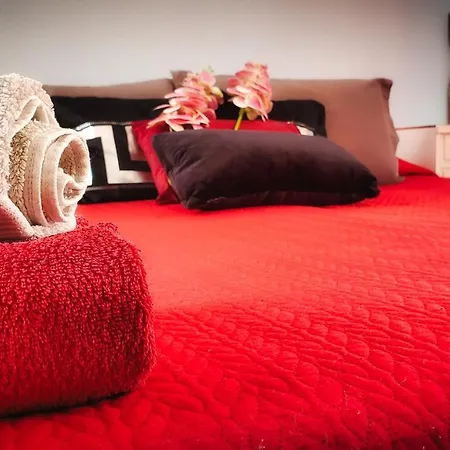 Warm, Cozy And Comfortable Apartamento